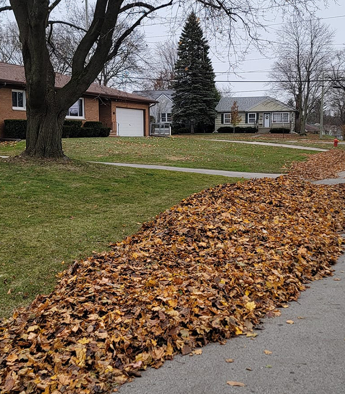 Jackson Michigan Lawn Care