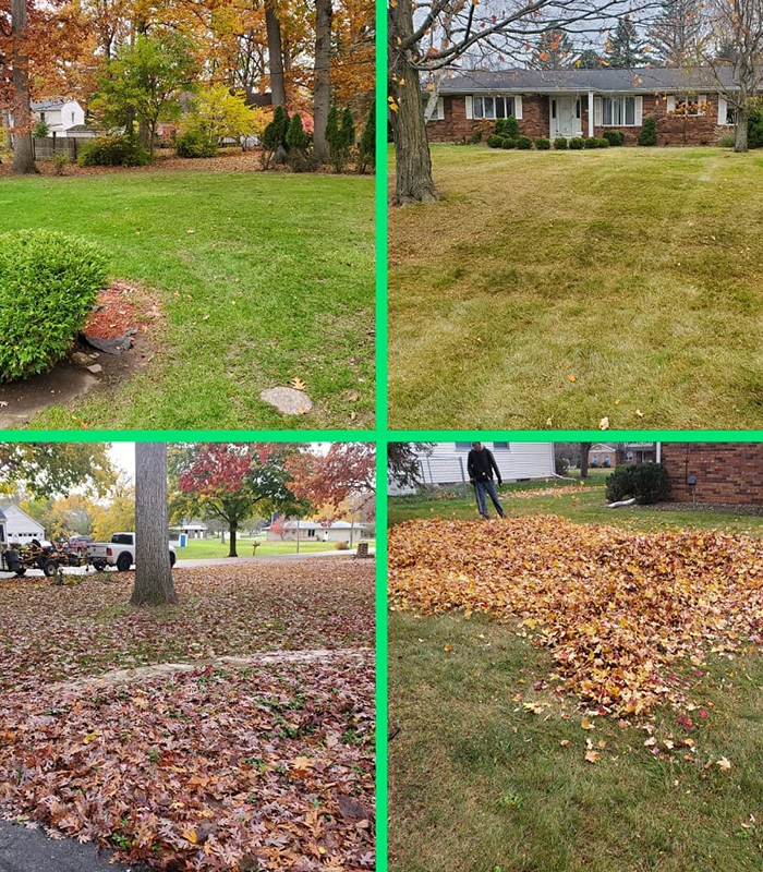 Jackson Michigan Lawn Care